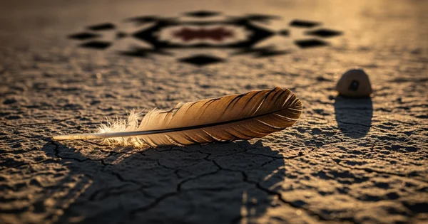 A feather lies on cracked earth near a small rock.