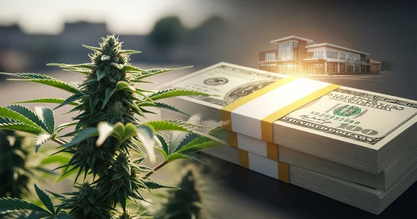 Image shows a cannabis plant next to stacks of US currency and a building, possibly representing the cannabis industry.