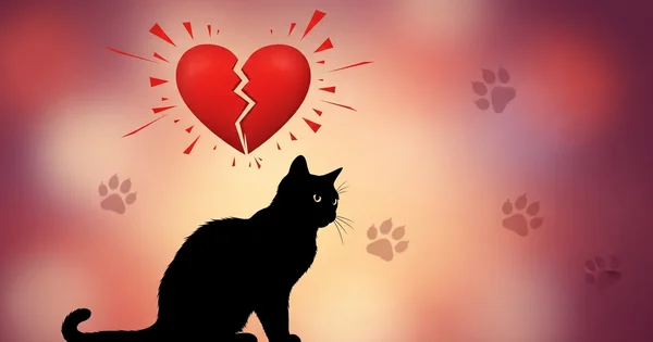 Silhouette of a cat sits beneath a broken heart graphic.
