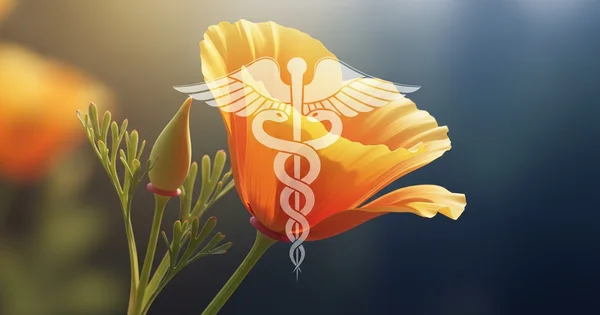 A medical caduceus symbol is overlaid on a California poppy, illustrating the connection between natural plant sources and medical science.