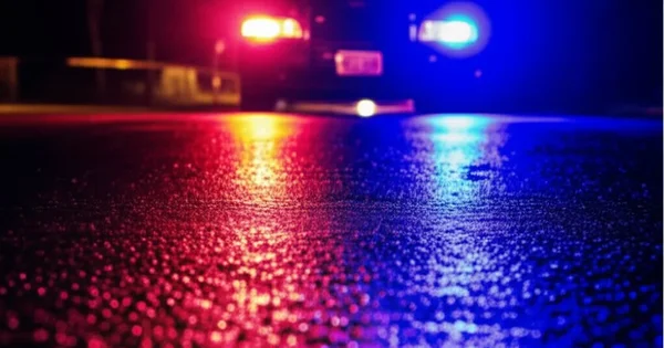 Police car lights reflect on a wet street at night.