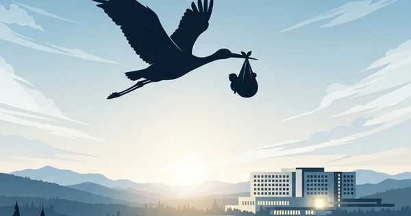 A stork carries a baby towards a hospital.