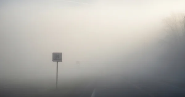 A school crossing sign is nearly obscured by heavy fog.