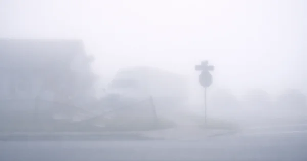 Dense fog blankets a residential neighborhood, significantly reducing visibility on local streets.